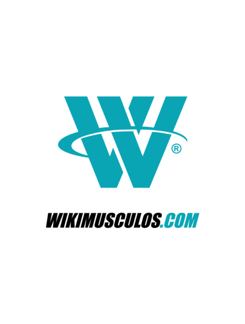 Logo Wikimusculos