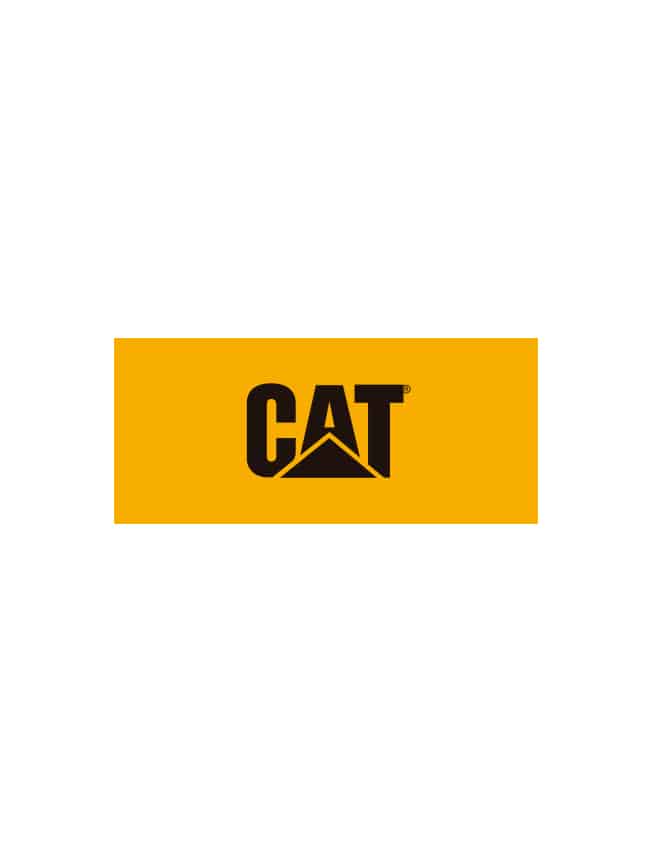 Logo CAT
